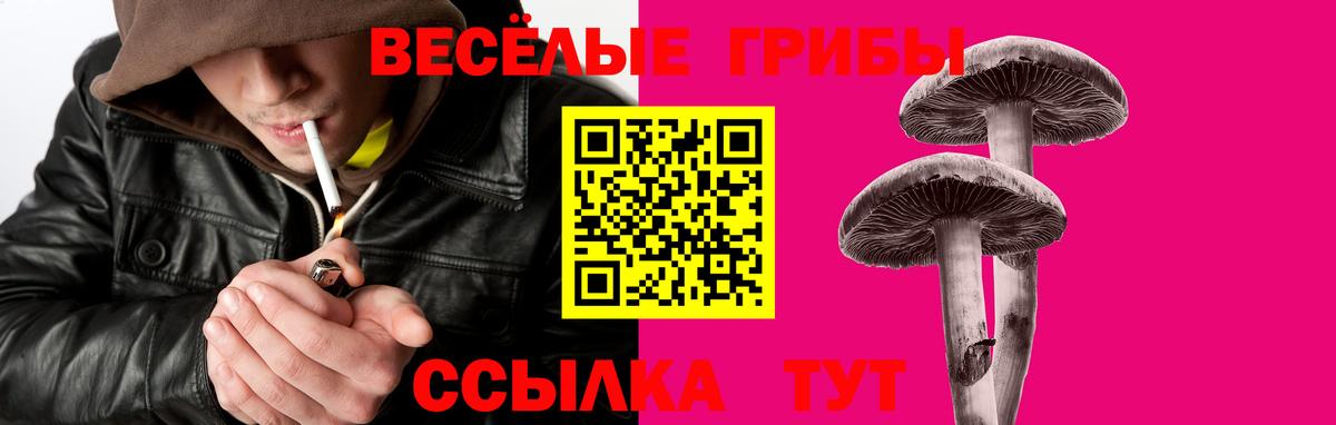 Галлюциногенные грибы ЛСД Заводоуковск